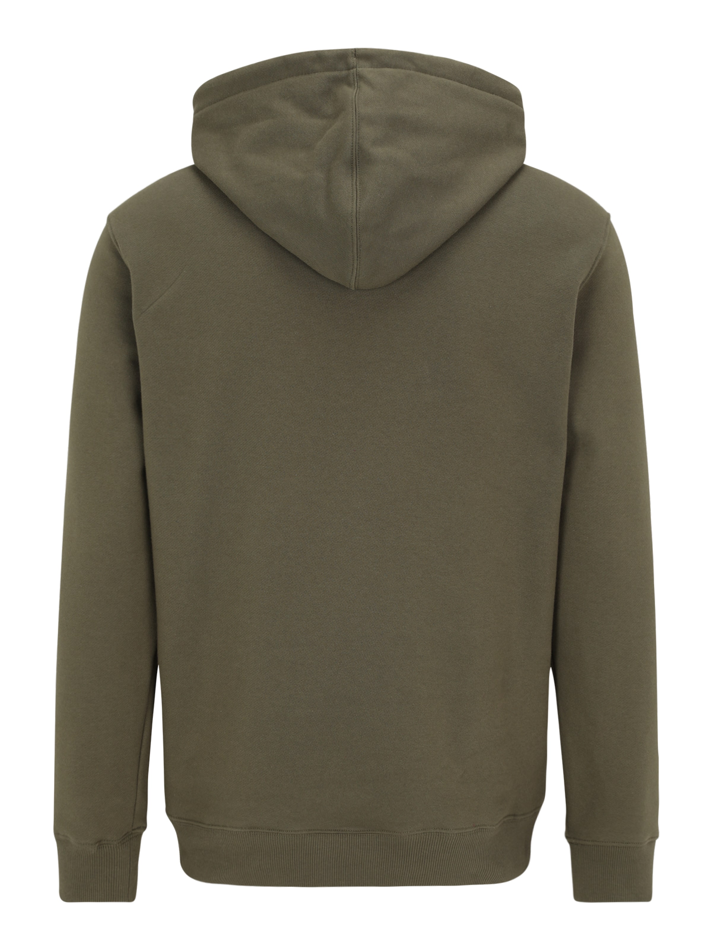 TIMBERLAND Sweatshirt in Green