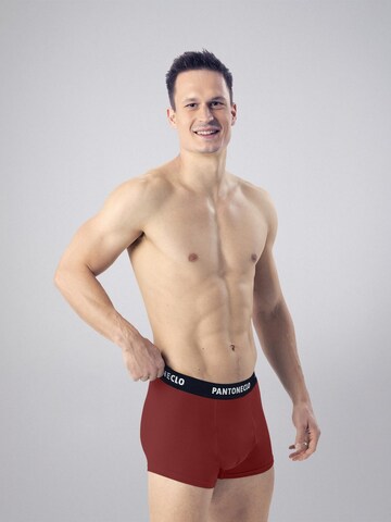 PANTONECLO Boksershorts 'Pantoneclo Men’s Boxer Underwear-10 Pcs Pack' i blandingsfarvet