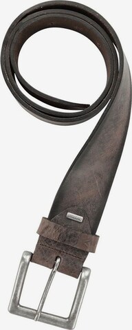 Alberto Belt in Brown: front