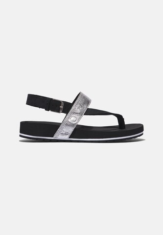 TIMBERLAND T-Bar Sandals in Black