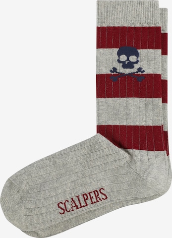 Scalpers Sokid, värv hall: eest vaates