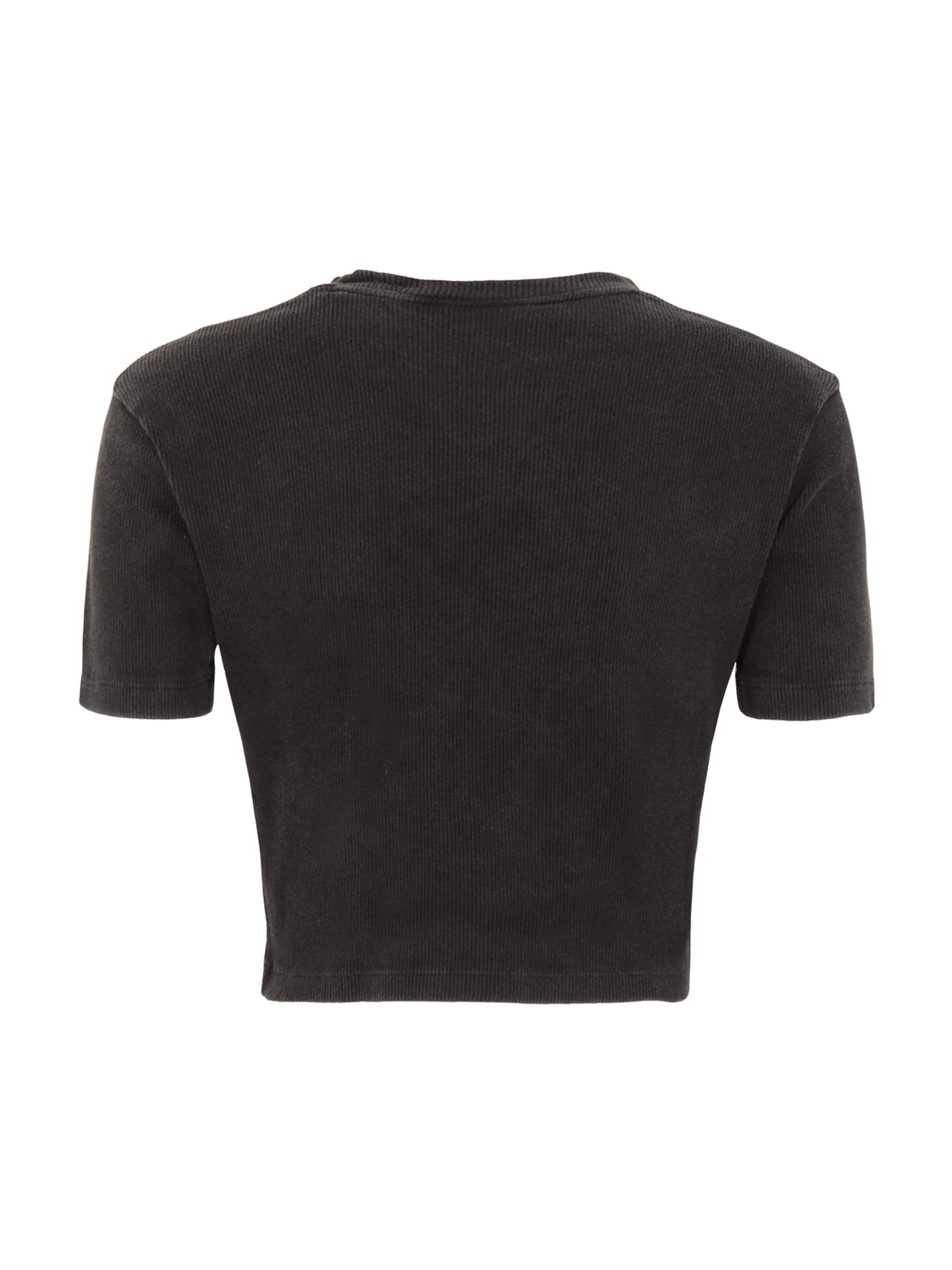DICKIES T-Shirt 'Plentywood' in Schwarz
