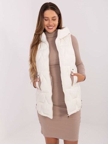 Madnezz House Weste in Beige: Vorderseite