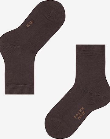 FALKE Socks 'Family' in Brown: front