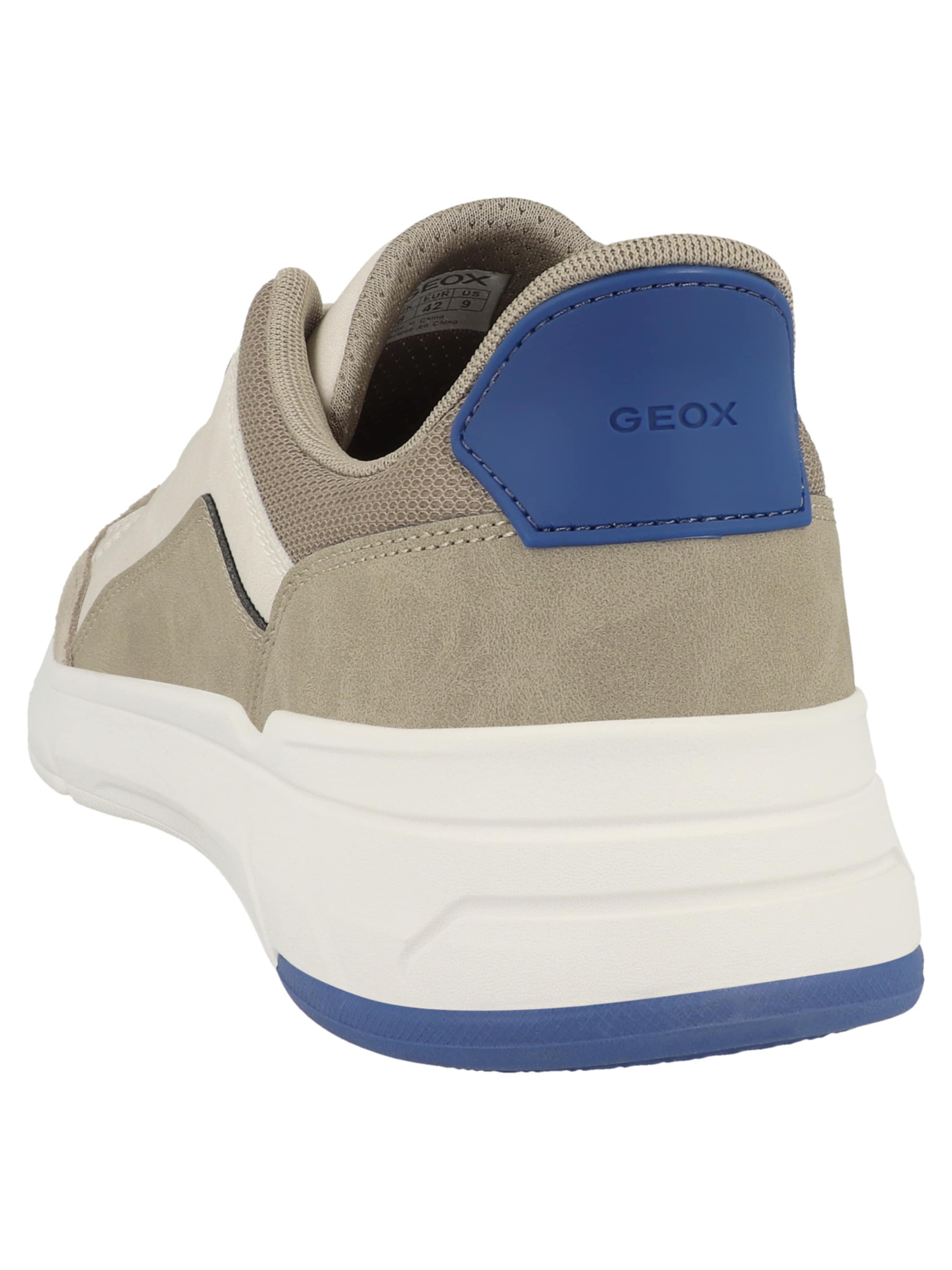 Baskets basses 'Plus A' GEOX en marron