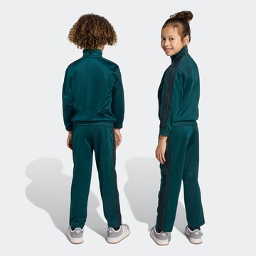 ADIDAS ORIGINALS Sweatsuit in Green