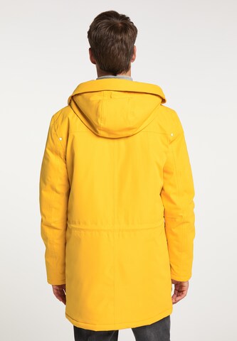 ICEBOUND - Parka de inverno em amarelo