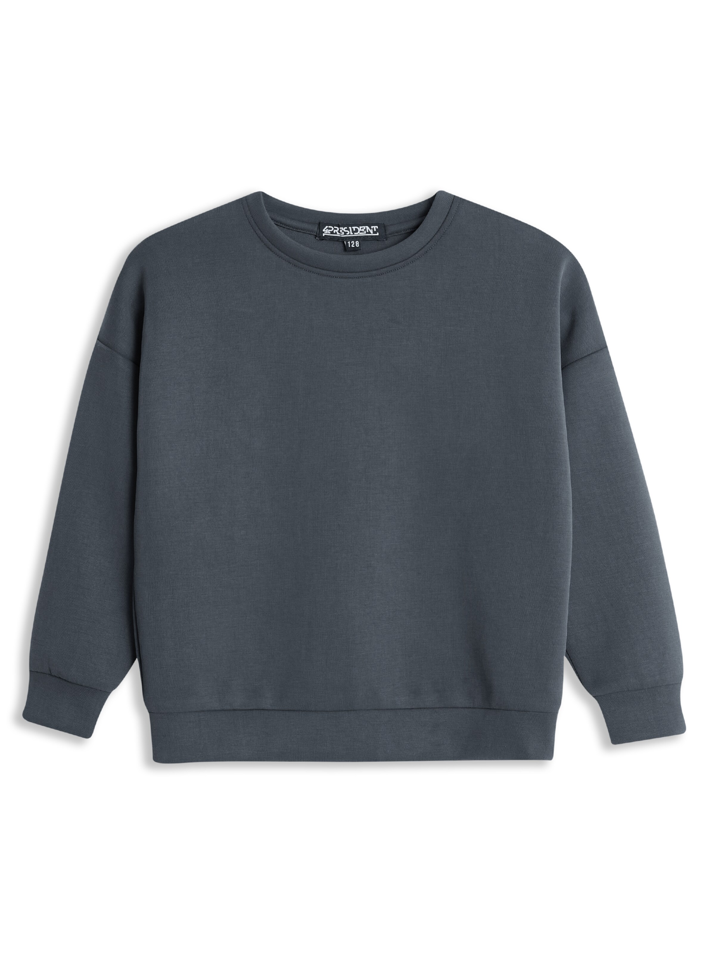 4PRESIDENT Sweatshirt 'Merel' in Grey: front