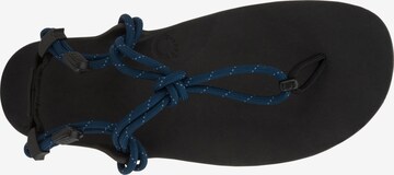 Xero Shoes Sandale 'Genesis' in Blau