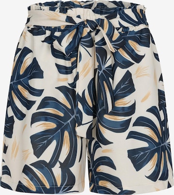 Cloud5ive Regular Housut värissä sininen: etupuoli