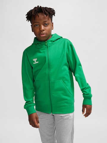 Sweat Hummel en vert