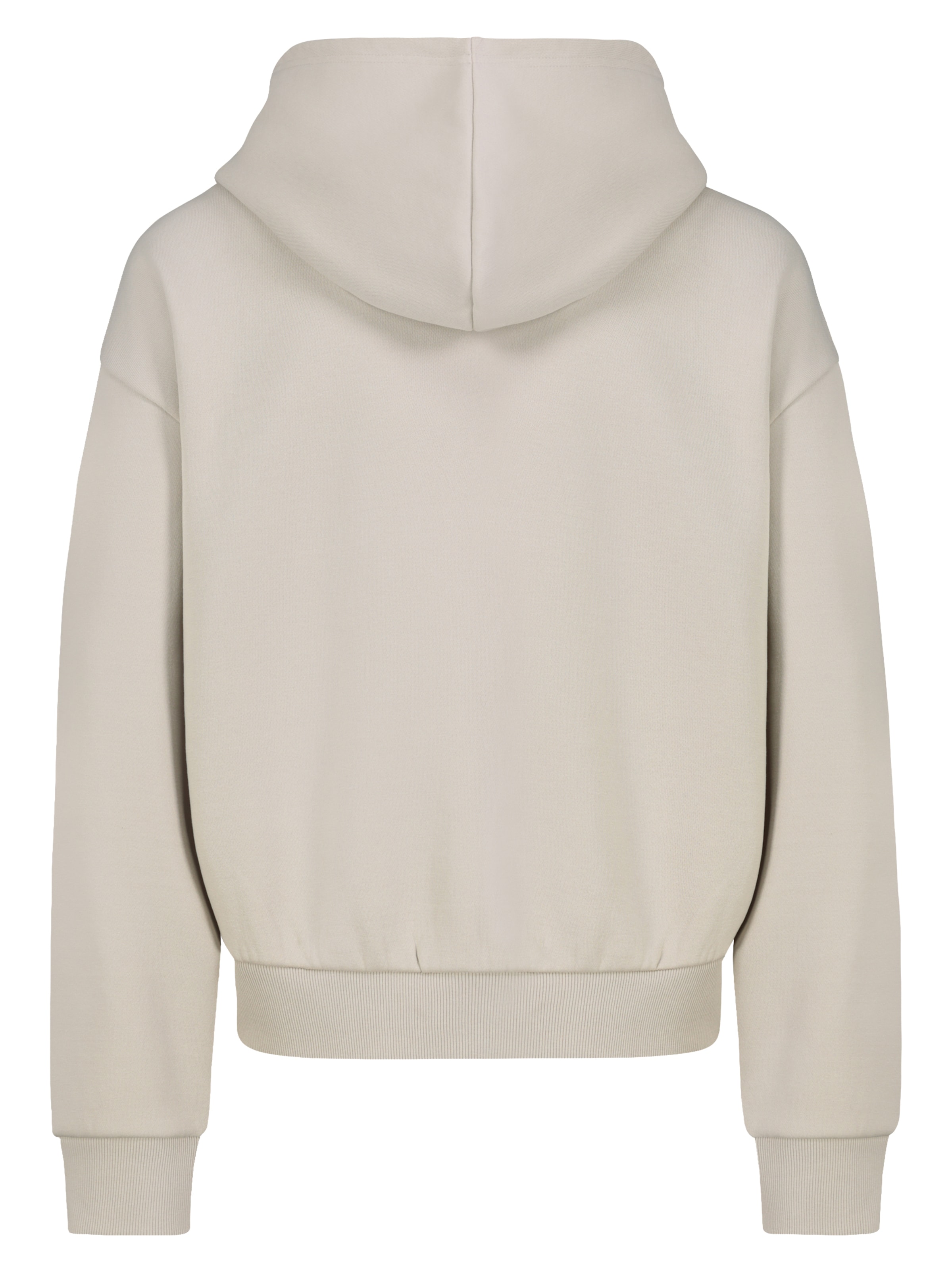 Sublevel Zip-Up Hoodie in Beige