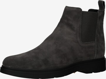 GEOX Chelsea boots in Grijs: voorkant