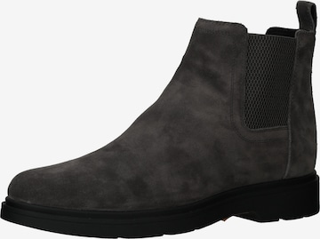 Chelsea Boots GEOX en gris : devant