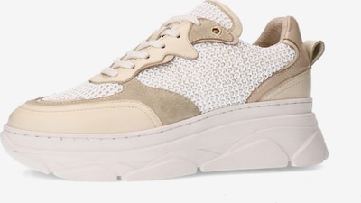 SACHA Sneaker in beige / chamois / dunkelbeige / offwhite, Produktansicht