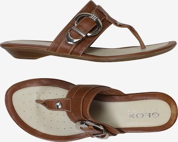 GEOX Sandals & High-Heeled Sandals in 39 in Brown: front