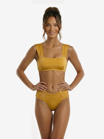 Kalaia Bralette Bikini 'Bralette Bikini' in Gold: front