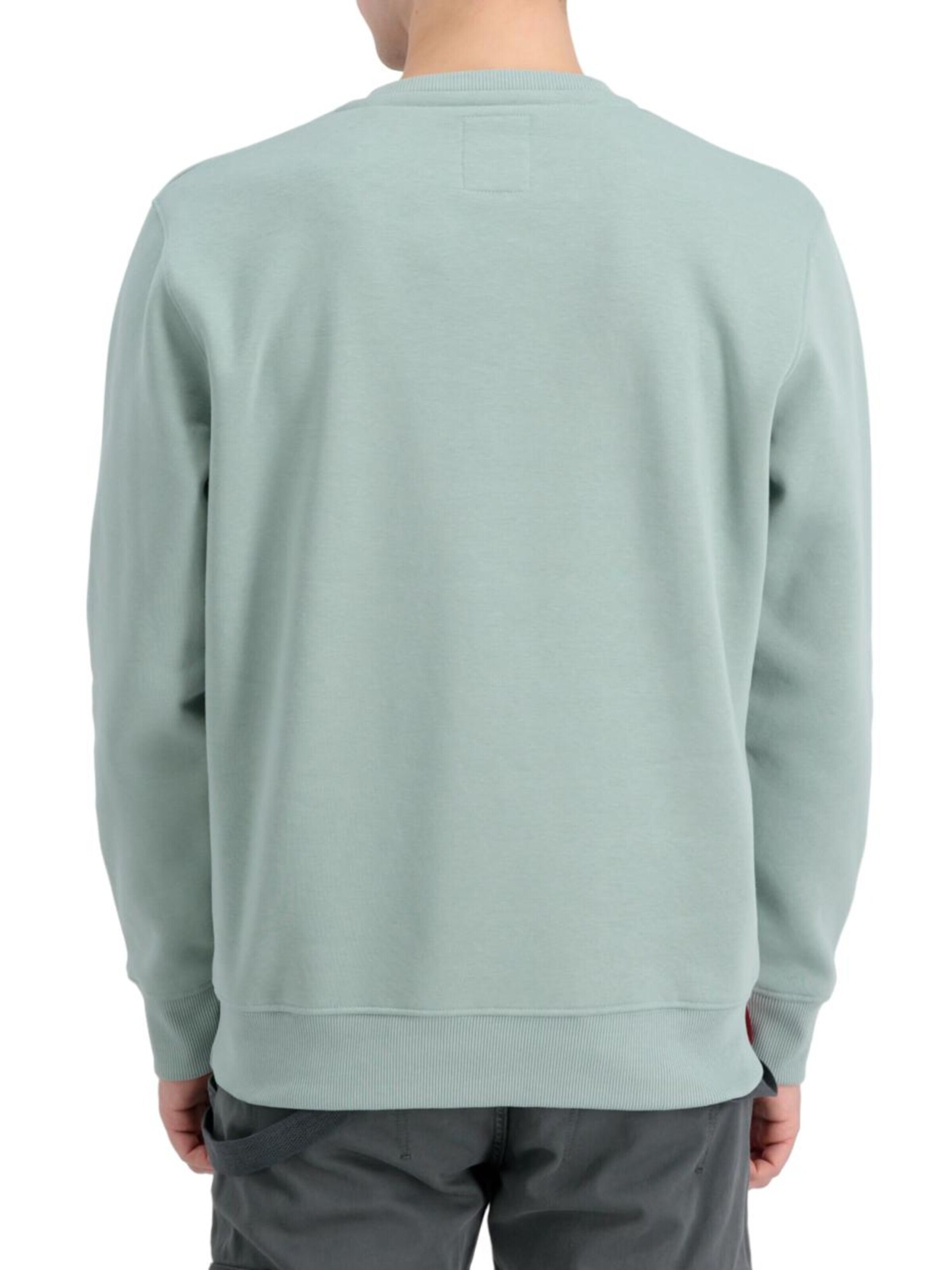 ALPHA INDUSTRIES Sweatshirt 'Basic Rubber'‌‌‌‌ in Grün