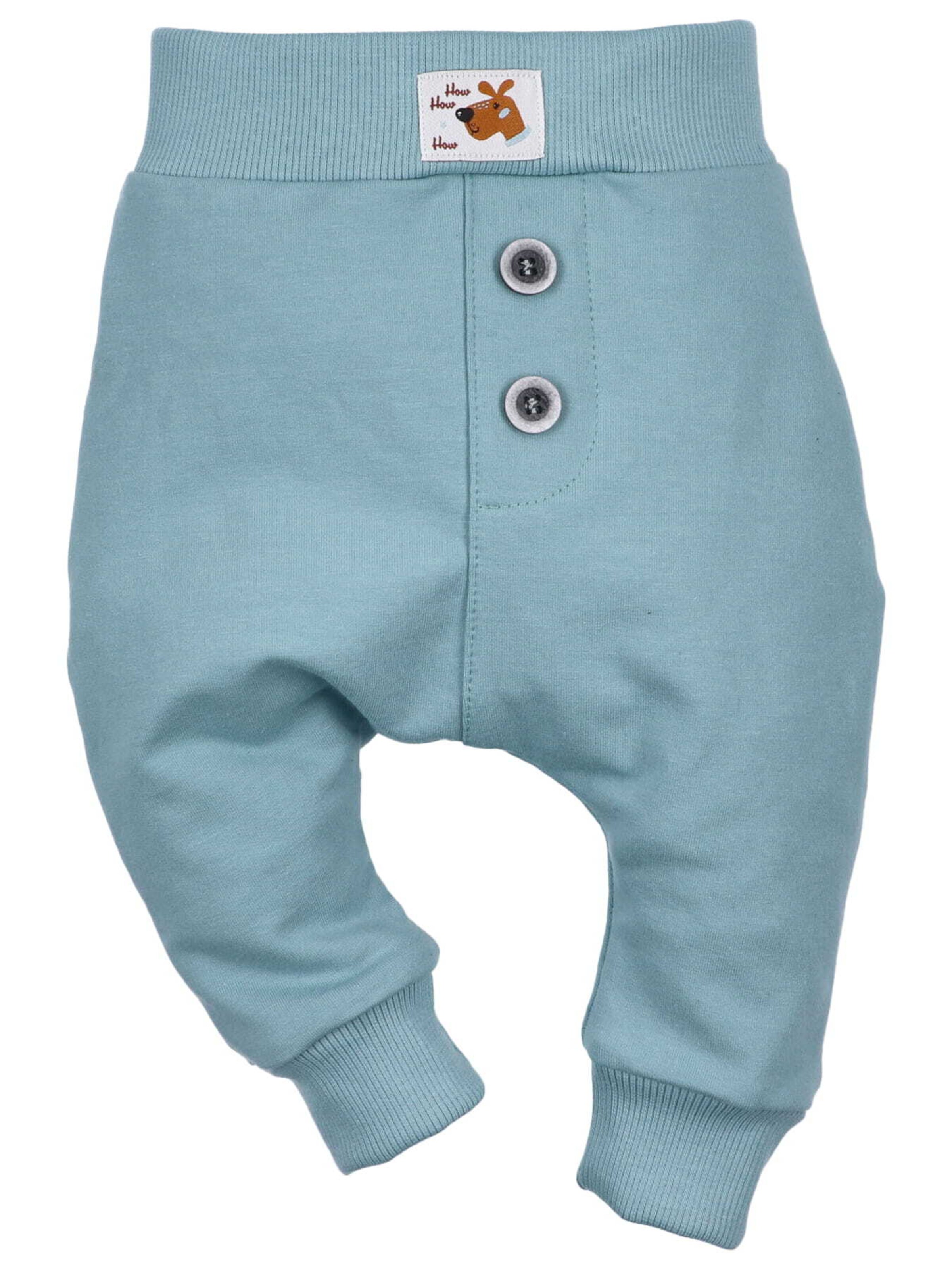 Pantalon 'Hund' NINI en bleu : devant