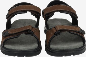 JOSEF SEIBEL Sandals in Brown