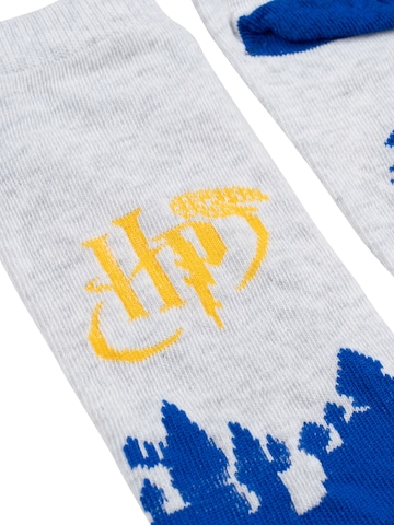 Harry Potter Socks 'Hogwarts' in Mixed colors