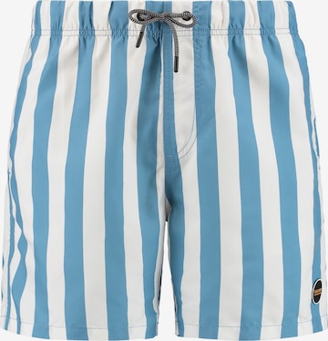 Shiwi Plavecké šortky - Modrá: predná strana