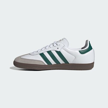 ADIDAS ORIGINALS Низкие кроссовки 'Samba OG' в Белый