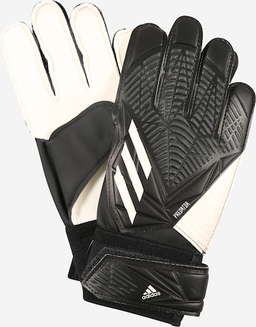 ADIDAS SPORTSWEARSportske rukavice 'Predator Goalkeeper' - crna boja: prednji dio