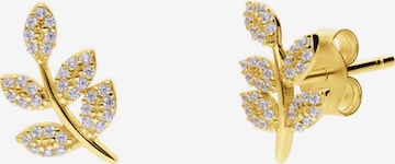 Lucardi Oorbellen 'Klassisch' in Goud: voorkant