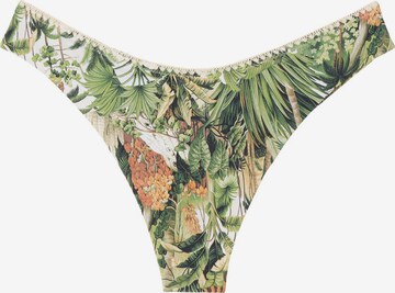 CALZEDONIA Bikinihose 'Savage Tropics' in Grün: predná strana