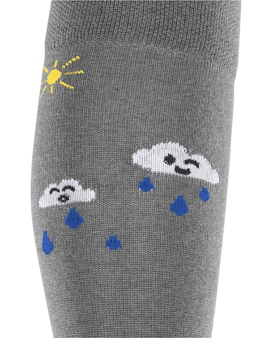FALKE Socks 'Active Rainboot' in Grey