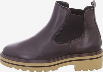 Paul Green Chelsea Boots in Braun