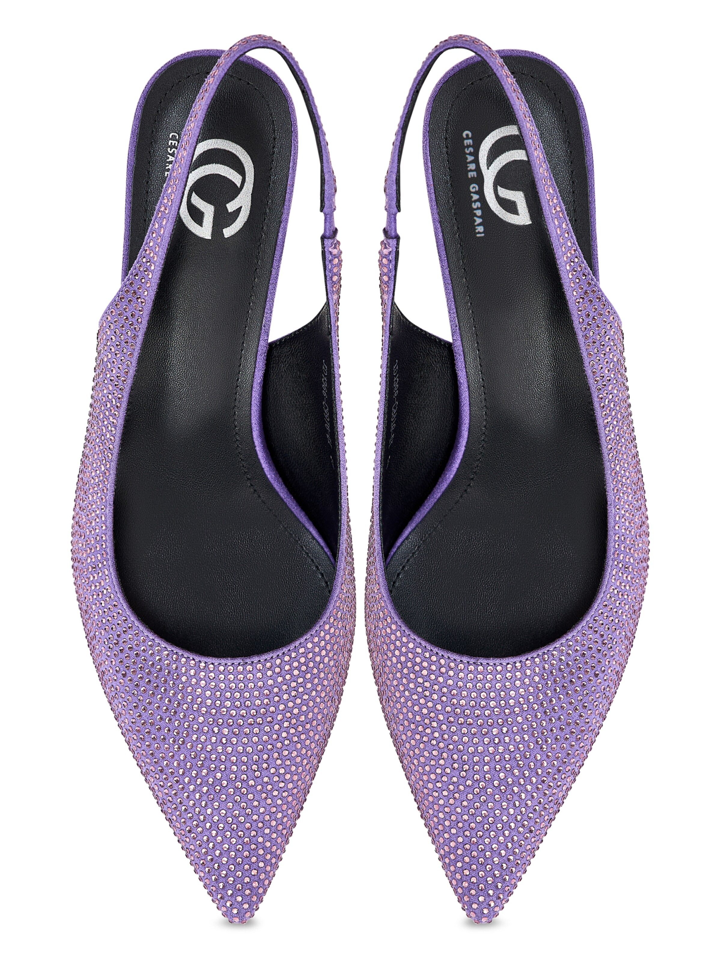 CESARE GASPARI Pumps in Lila