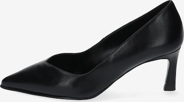 PETER KAISER Pumps in Black