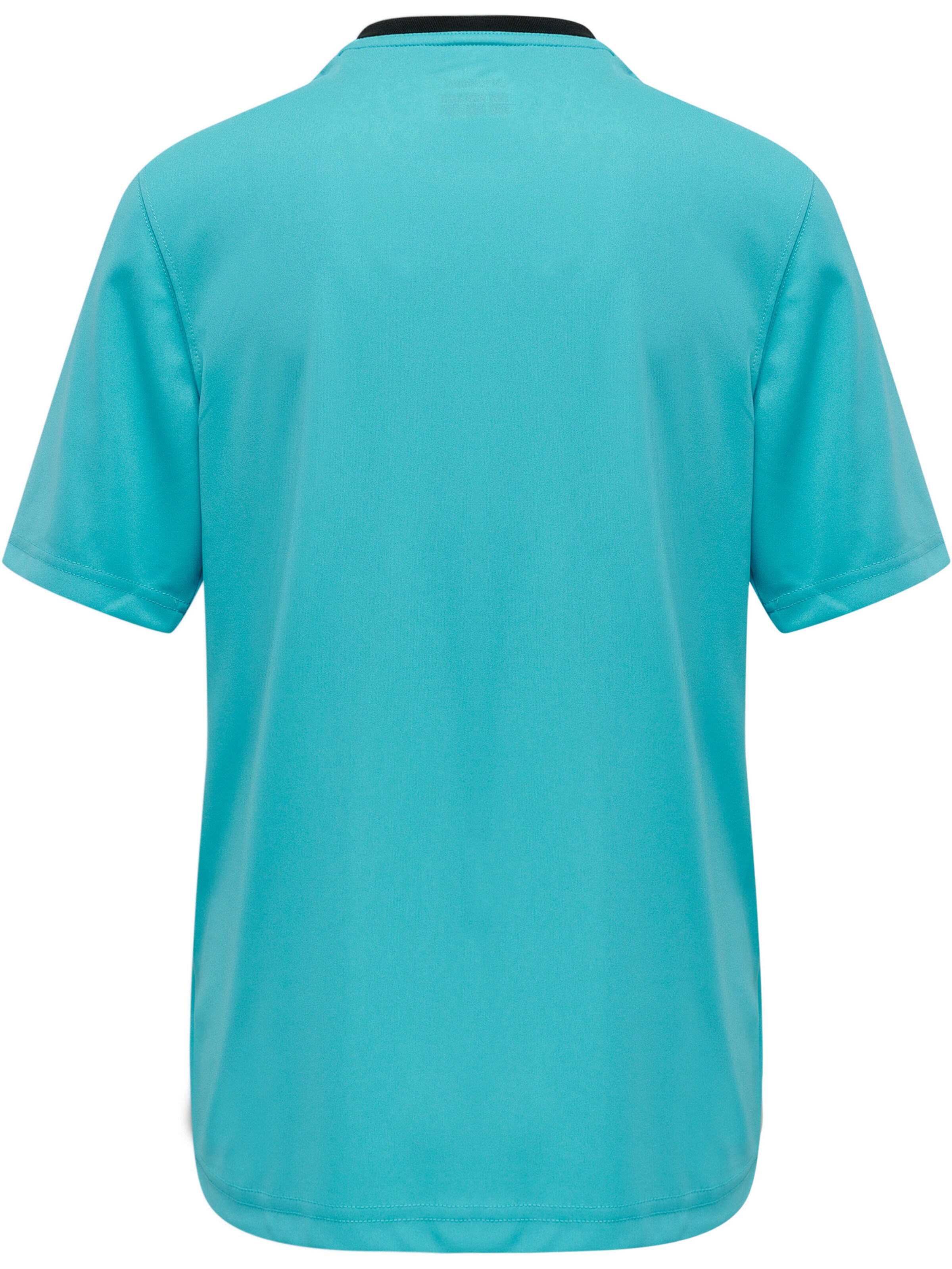 Hummel Functioneel shirt 'Referee Chevron' in Blauw