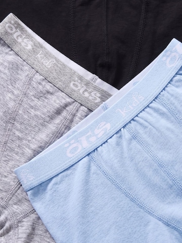 ÖTSGaće 'ÖTS Herren Boxerbriefs' - miks boja boja