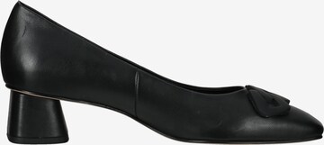 Högl Pumps in Black