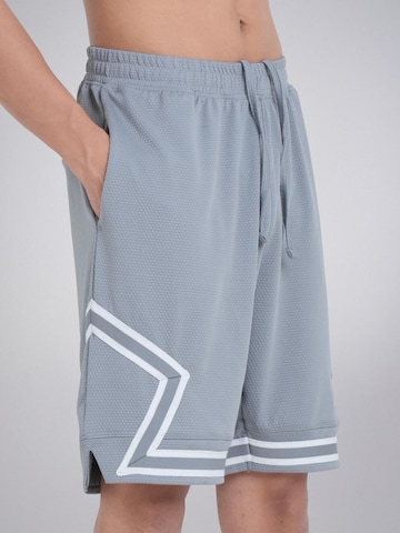 PANTONECLO Boardshorts 'Pantoneclo Men’s Gym Shorts with Side Gaset' in Grijs