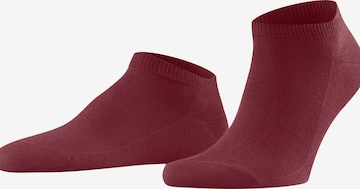 FALKE Socks 'Family' in Red: front