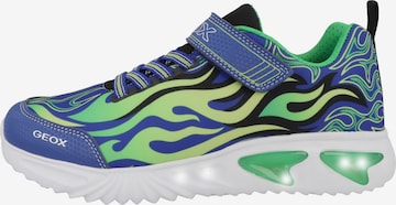 GEOX Sneakers 'Assister' in Blue