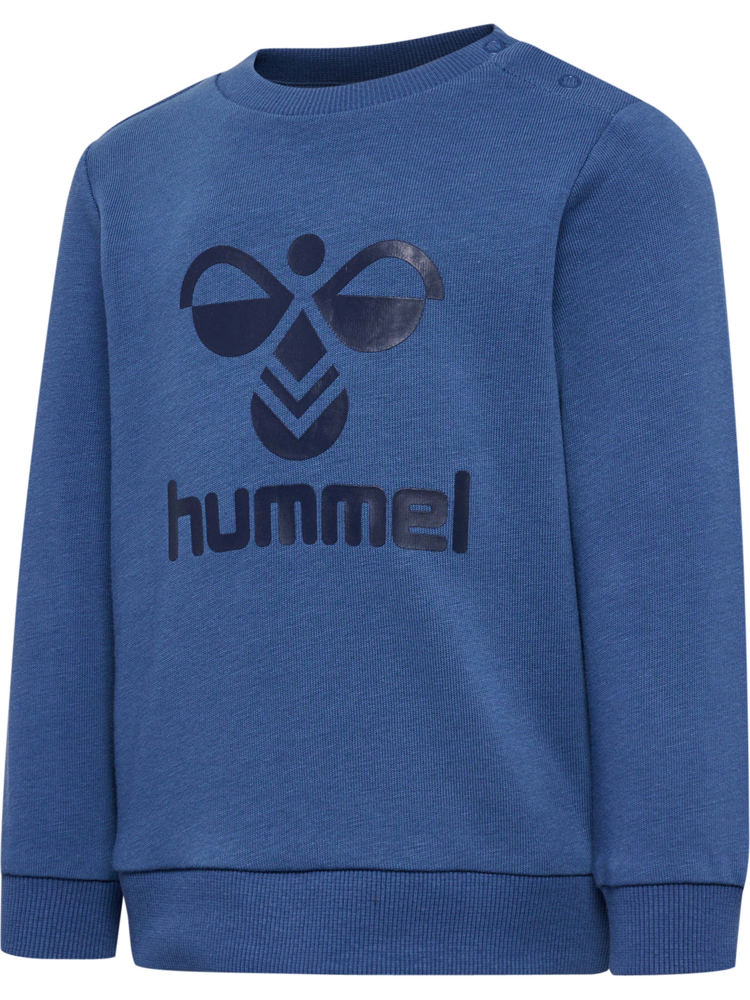Hummel Trainingspak 'Arine' in Blauw