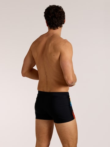 wavebreaker Swim Trunks in Mixed colors