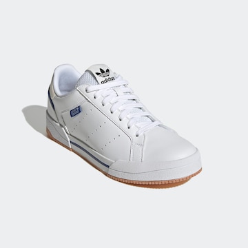 Baskets basses 'Court Tourino' ADIDAS ORIGINALS en blanc