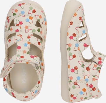 Kickers 2025 primi passi