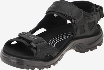 ECCO Sandals in Black: front