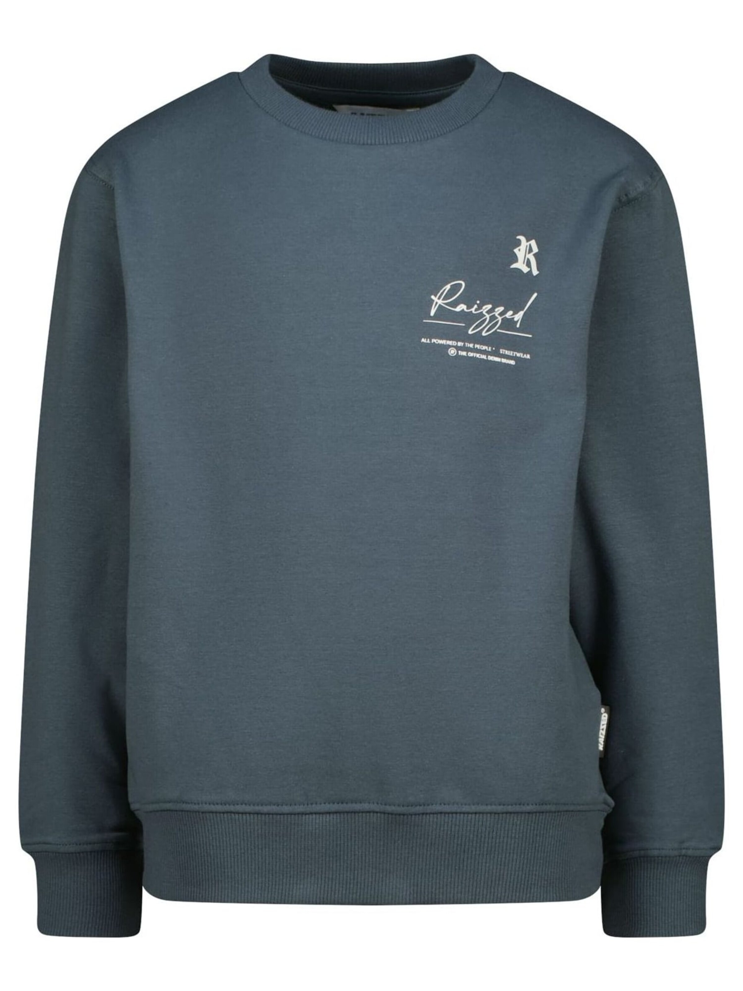 Raizzed Sweatshirt in Blauw: voorkant