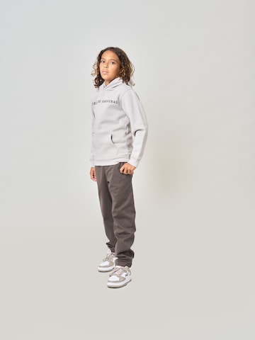 Sweat Deeluxe en gris