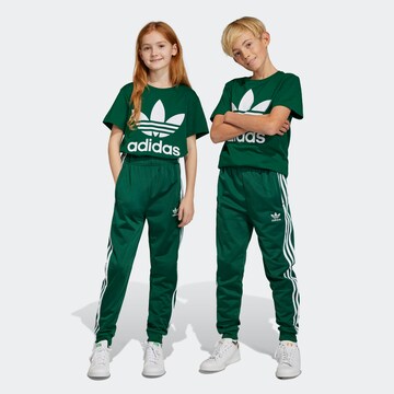 ADIDAS ORIGINALS Zwężany krój Spodnie 'Adicolor Sst' w kolorze zielony