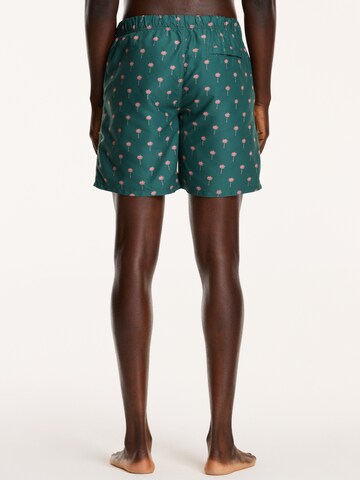 Shorts de bain 'Palm' Shiwi en vert