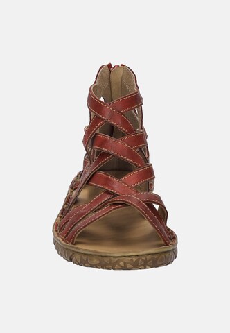 JOSEF SEIBEL Sandals 'IVY 06' in Red